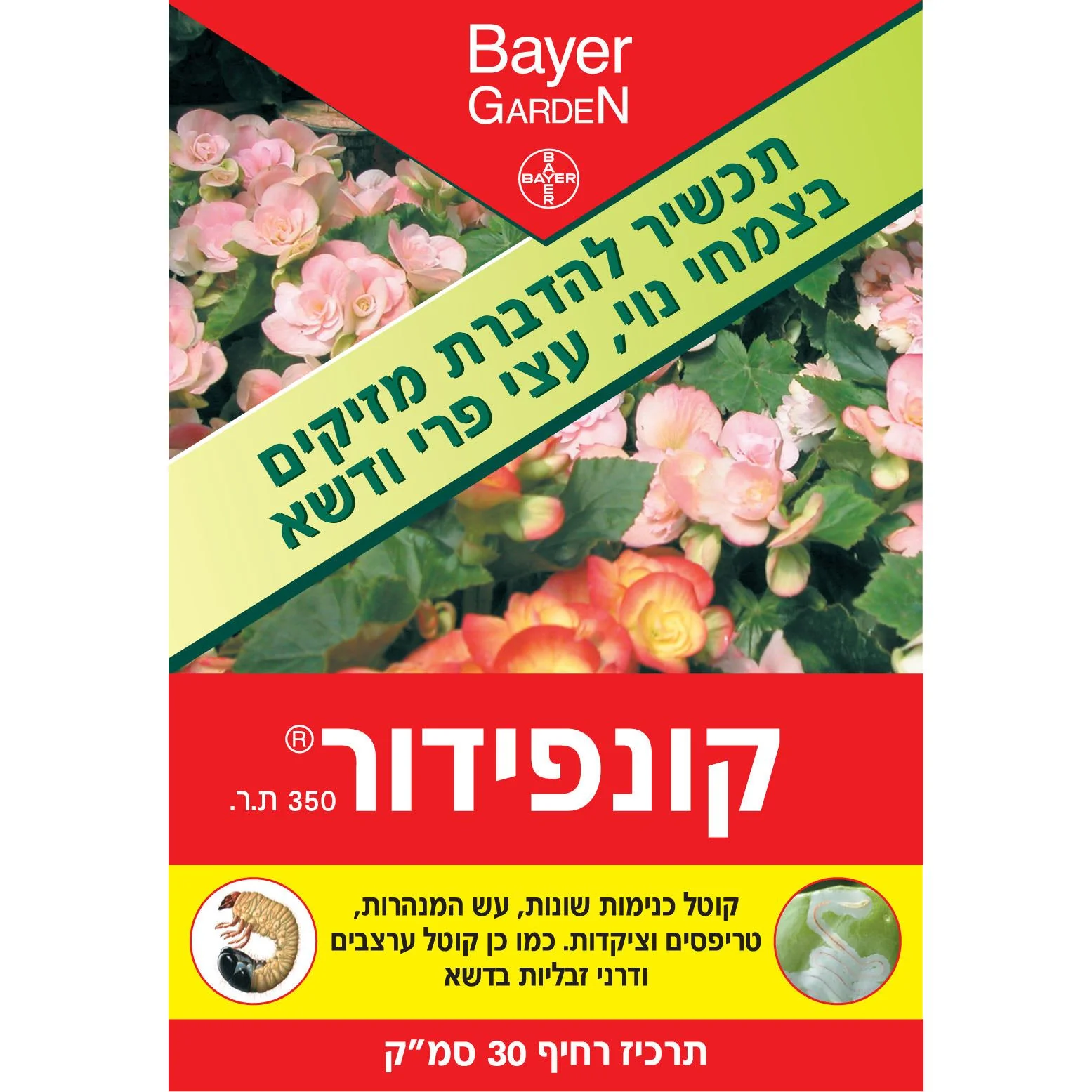 תמונה ממוזערת 1