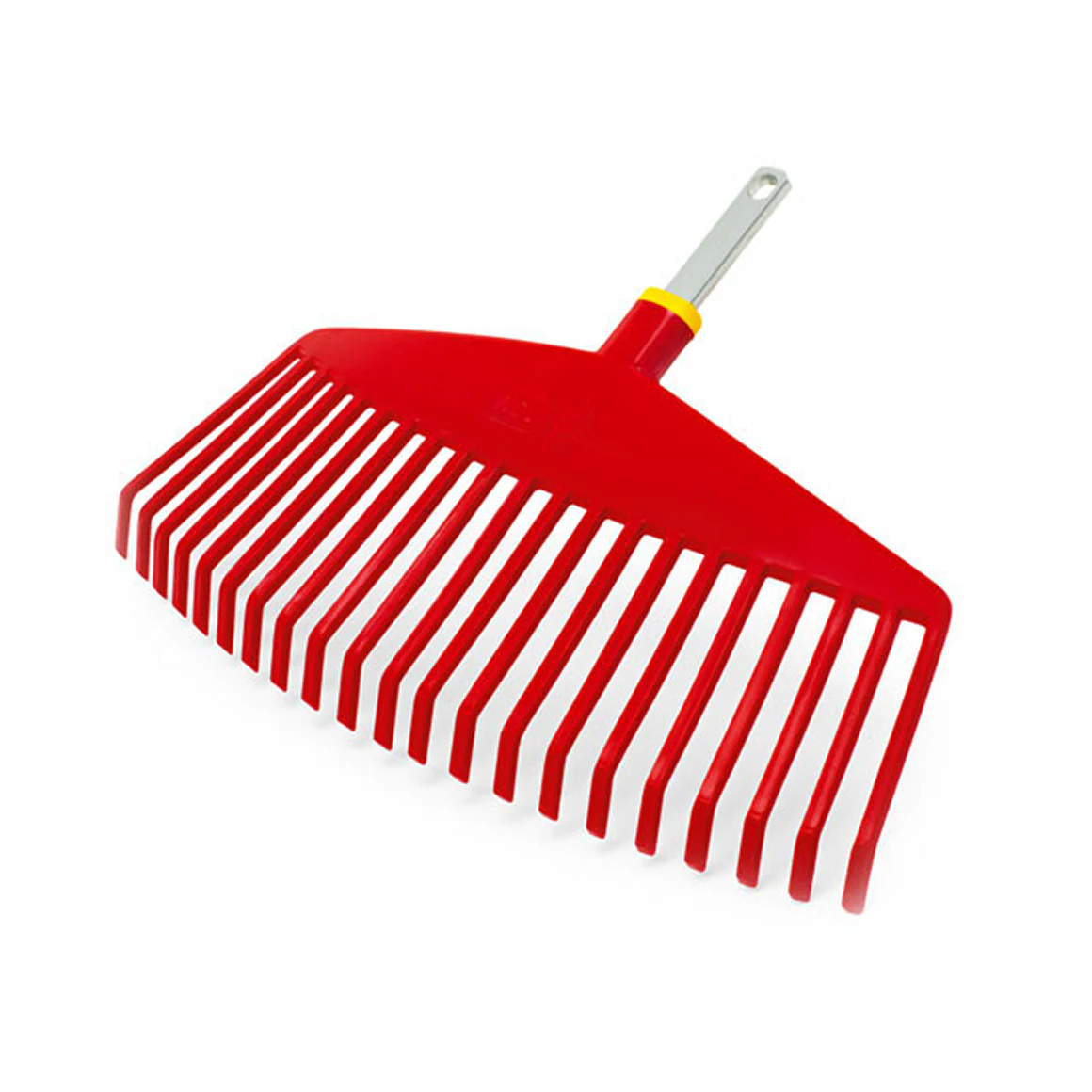 תמונה ממוזערת 2