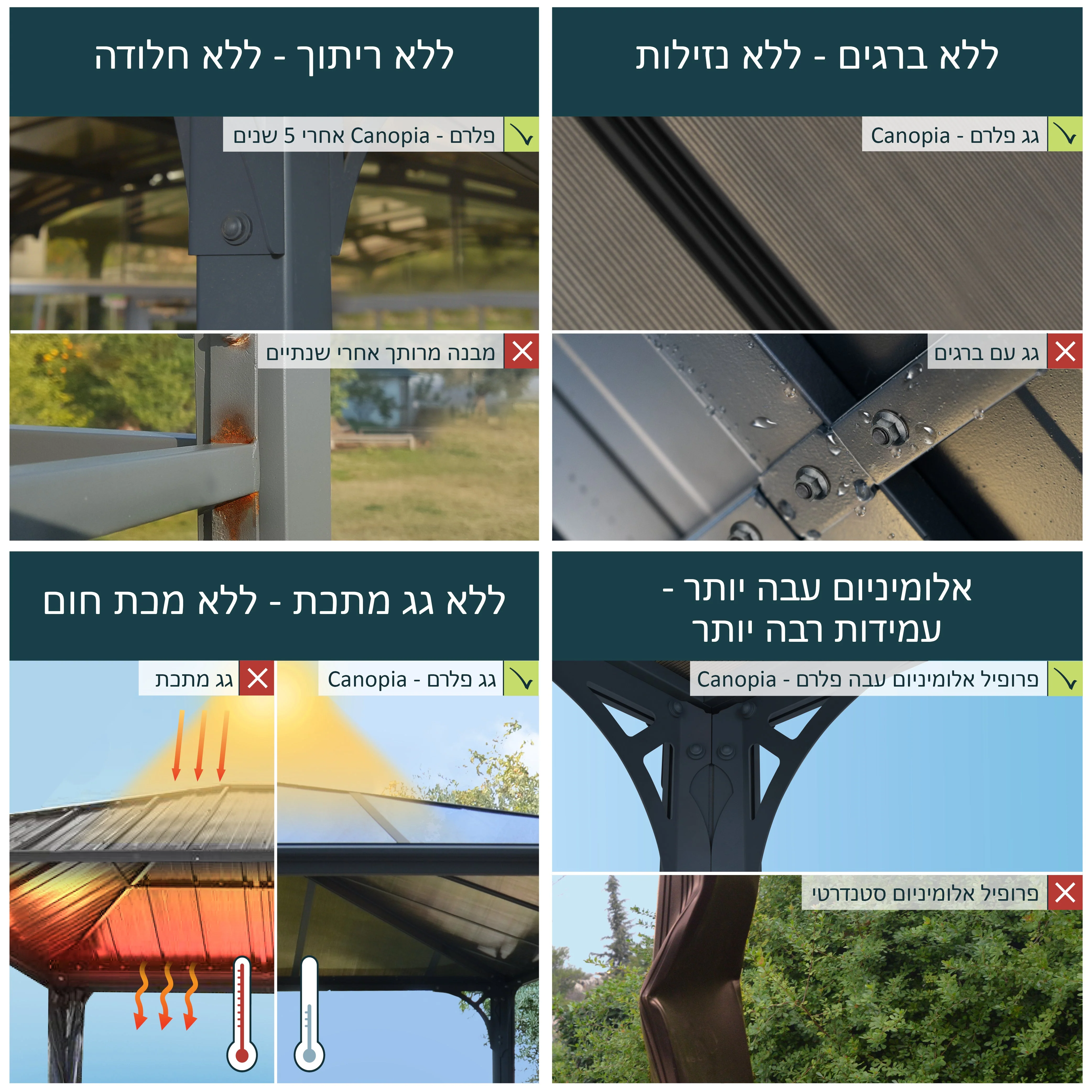 תמונה ממוזערת 4