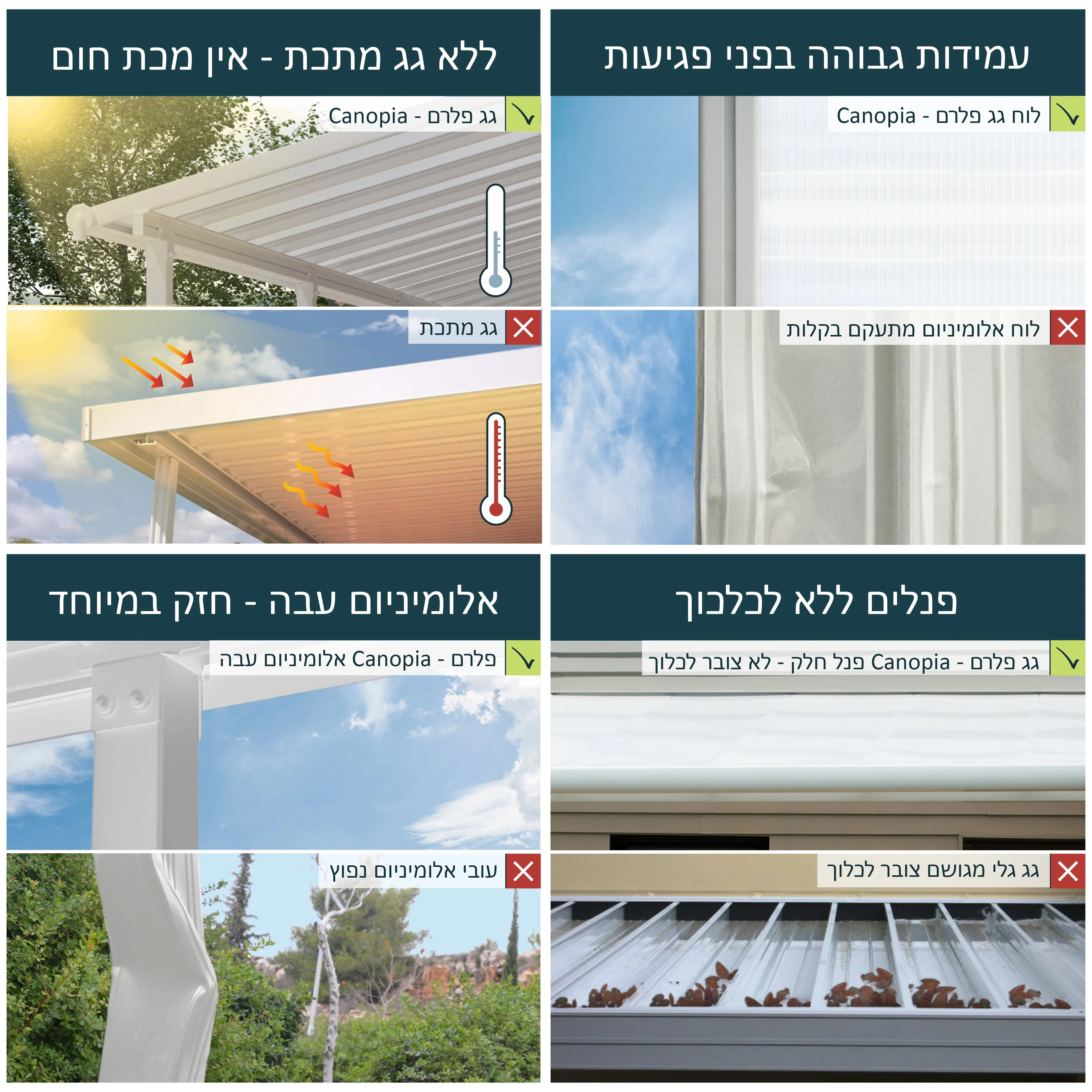 תמונה ממוזערת 4