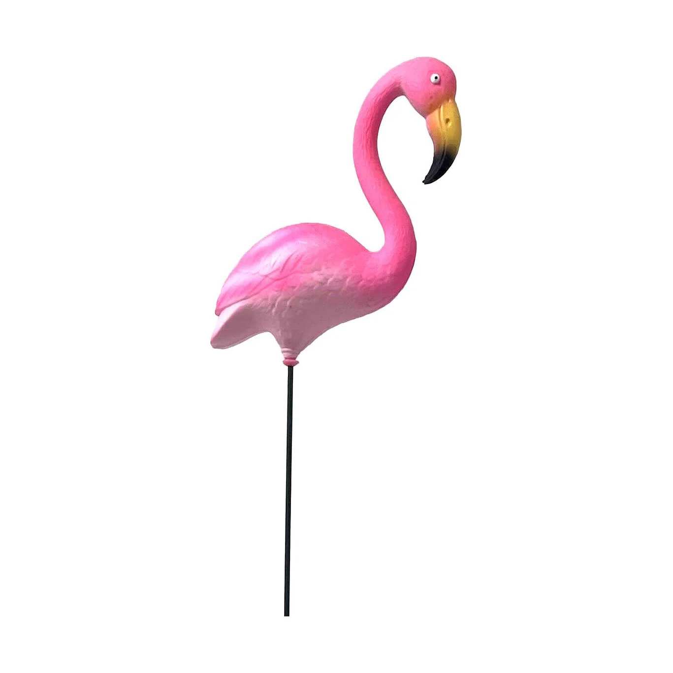 תמונה ממוזערת 2