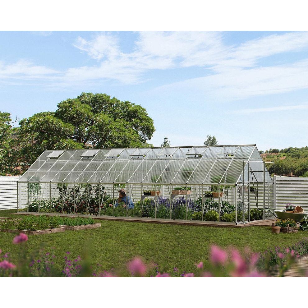 תמונה ממוזערת 4