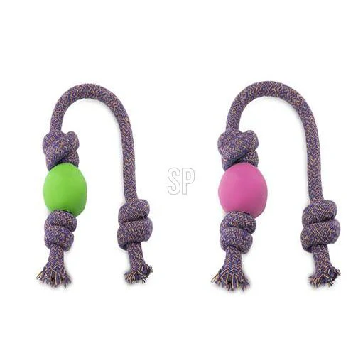 תמונה ממוזערת 2