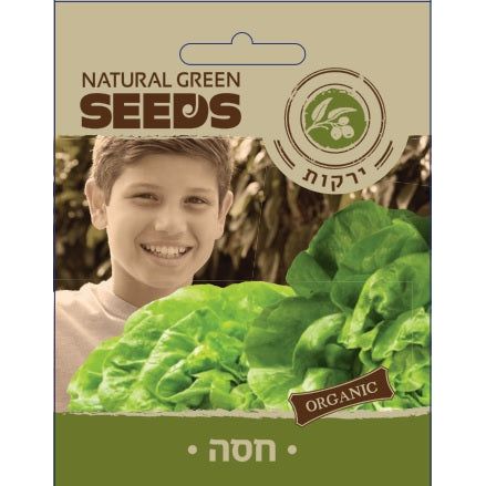 תמונת מוצר 1