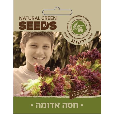 תמונת מוצר 1