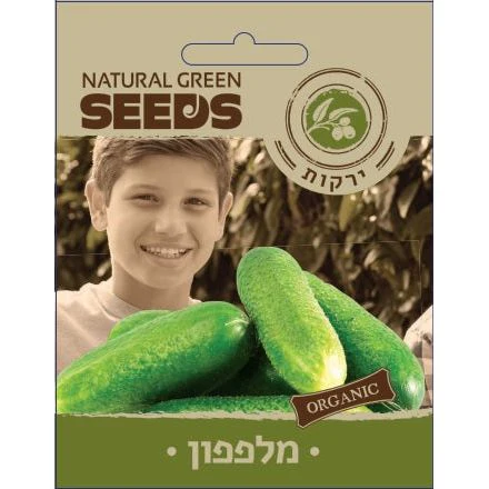 תמונת מוצר 1