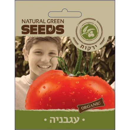 תמונת מוצר 1