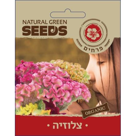 תמונת מוצר 1