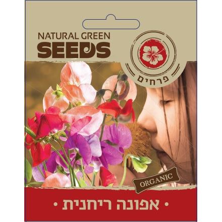 תמונת מוצר 1