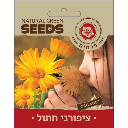 תמונת מוצר 1