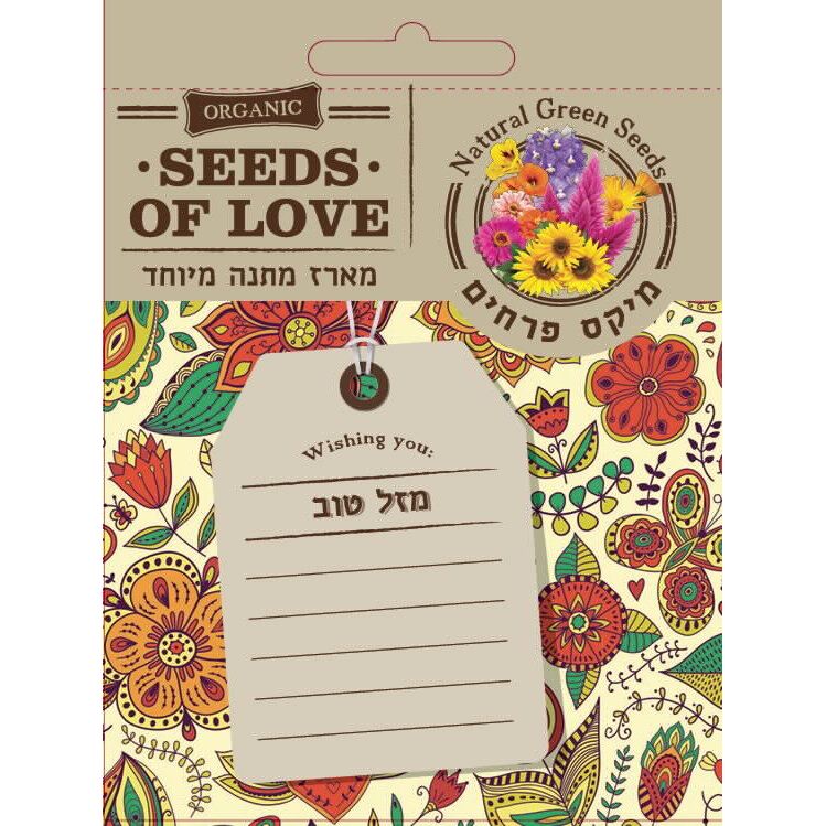 תמונת מוצר 1