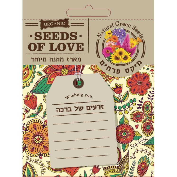 תמונה ממוזערת 2