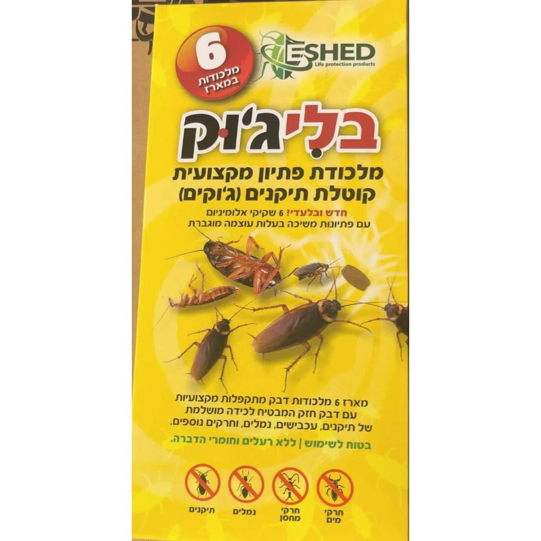 תמונה ממוזערת 2