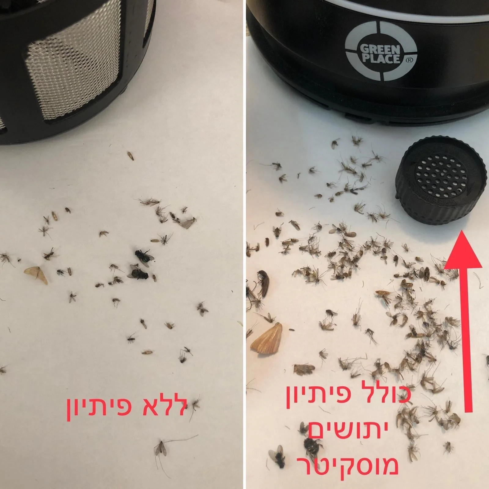 תמונה ממוזערת 3